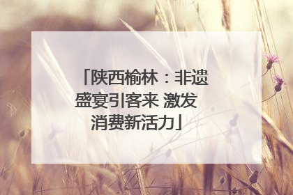 陕西榆林：非遗盛宴引客来 激发消费新活力