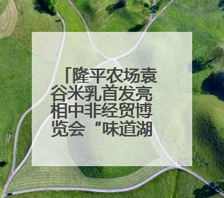 隆平农场袁谷米乳首发亮相中非经贸博览会“味道湖南”美食市集