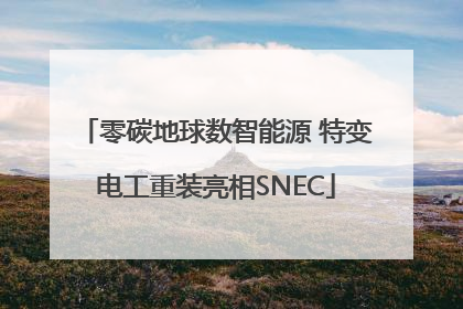 零碳地球数智能源 特变电工重装亮相SNEC