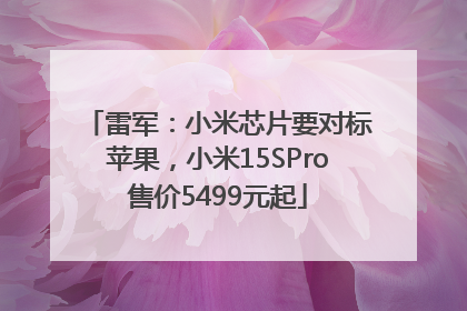 雷军：小米芯片要对标苹果，小米15SPro售价5499元起