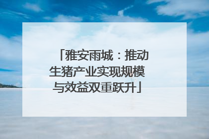 雅安雨城：推动生猪产业实现规模与效益双重跃升