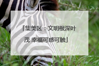 集美区：文明根深叶茂 幸福可感可触