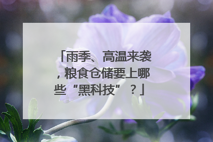 雨季、高温来袭，粮食仓储要上哪些“黑科技”？