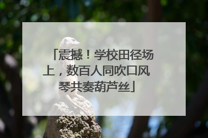 震撼！学校田径场上，数百人同吹口风琴共奏葫芦丝