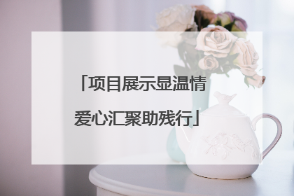 项目展示显温情 爱心汇聚助残行