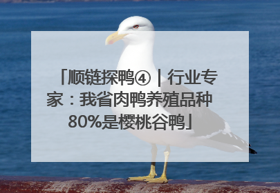 顺链探鸭④｜行业专家：我省肉鸭养殖品种80%是樱桃谷鸭