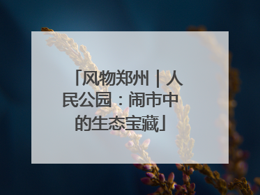 风物郑州｜人民公园：闹市中的生态宝藏