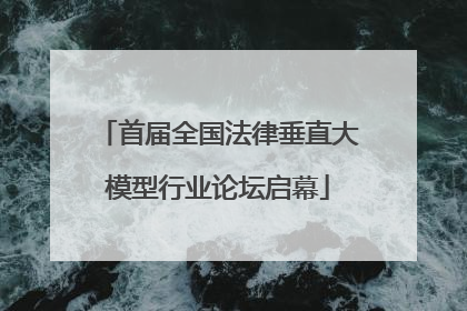 首届全国法律垂直大模型行业论坛启幕
