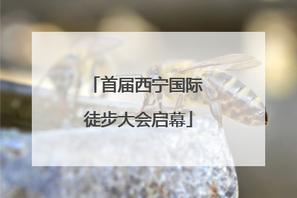首届西宁国际徒步大会启幕