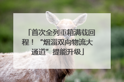 首次全列重箱满载回程！“烟淄双向物流大通道”提能升级