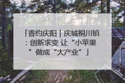 香约庆阳｜庆城桐川镇：创新求变 让“小苹果”做成“大产业”