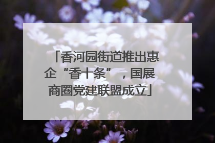 香河园街道推出惠企“香十条”，国展商圈党建联盟成立