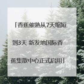 香蕉催熟从7天缩短到3天 新发地国际香蕉集散中心正式启用