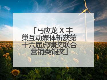 马应龙 X 丰巢互动媒体斩获第十六届虎啸奖联合营销类铜奖
