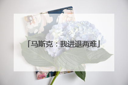 马斯克：我进退两难