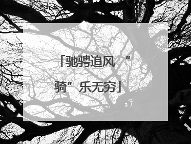 驰骋追风 “骑”乐无穷