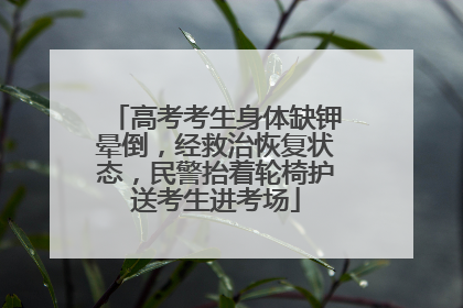 高考考生身体缺钾晕倒，经救治恢复状态，民警抬着轮椅护送考生进考场