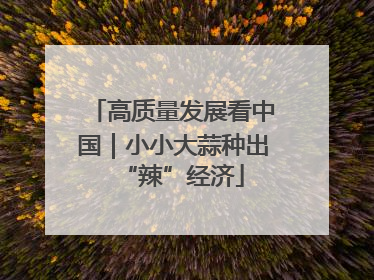 高质量发展看中国｜小小大蒜种出“辣”经济