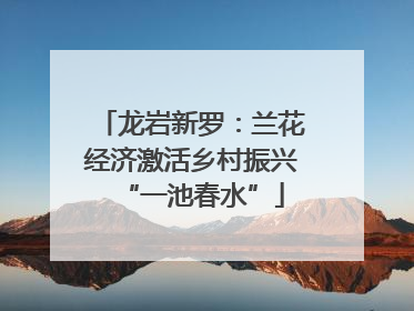 龙岩新罗：兰花经济激活乡村振兴“一池春水”