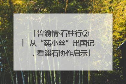 鲁渝情·石柱行② ︳从“莼小丝”出国记，看淄石协作启示
