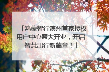 鸿蒙智行滨州首家授权用户中心盛大开业，开启智慧出行新篇章！