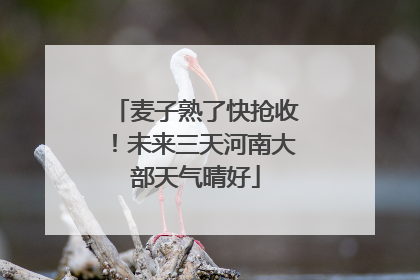 麦子熟了快抢收！未来三天河南大部天气晴好