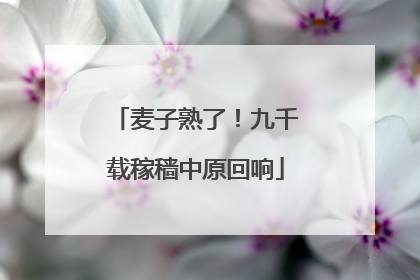 麦子熟了！九千载稼穑中原回响