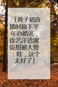 黄子韬直播时称下半年办婚礼，徐艺洋透露设想被大赞：哇，这个太好了