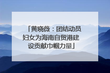 黄晓薇：团结动员妇女为海南自贸港建设贡献巾帼力量
