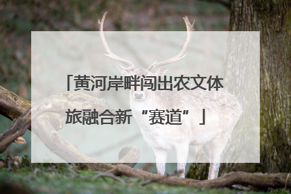 黄河岸畔闯出农文体旅融合新“赛道”