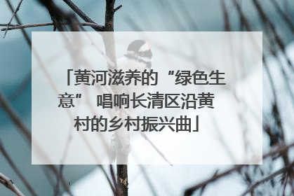 黄河滋养的“绿色生意” 唱响长清区沿黄村的乡村振兴曲
