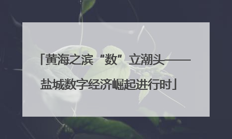 黄海之滨“数”立潮头——盐城数字经济崛起进行时