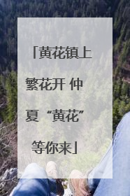 黄花镇上繁花开 仲夏“黄花”等你来
