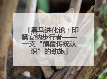 黑马进化论：印第安纳步行者——一支“颠覆传统认识”的劲旅