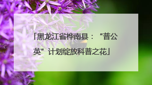 黑龙江省桦南县：“普公英”计划绽放科普之花