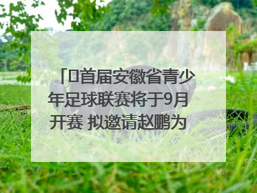 ﻿首届安徽省青少年足球联赛将于9月开赛 拟邀请赵鹏为先导赛开球
