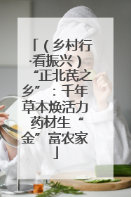 （乡村行·看振兴）“正北芪之乡”：千年草本焕活力 药材生“金”富农家