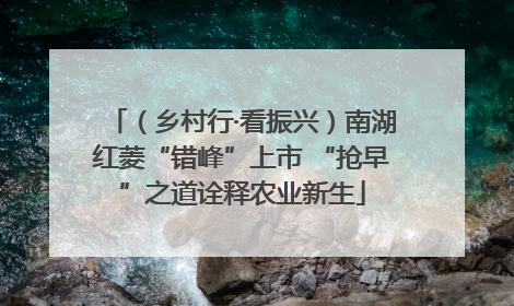 （乡村行·看振兴）南湖红菱“错峰”上市 “抢早”之道诠释农业新生