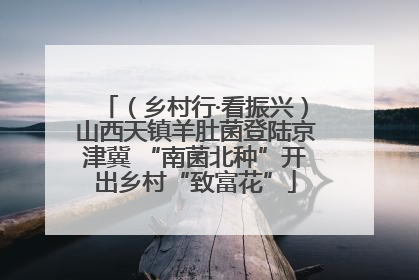 （乡村行·看振兴）山西天镇羊肚菌登陆京津冀 “南菌北种”开出乡村“致富花”
