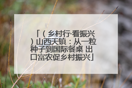 （乡村行·看振兴）山西天镇：从一粒种子到国际餐桌 出口富农促乡村振兴