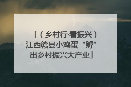 （乡村行·看振兴）江西赣县小鸡蛋“孵”出乡村振兴大产业