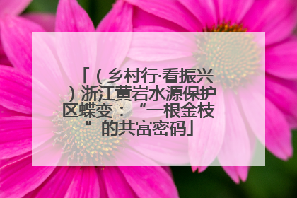 （乡村行·看振兴）浙江黄岩水源保护区蝶变：“一根金枝”的共富密码
