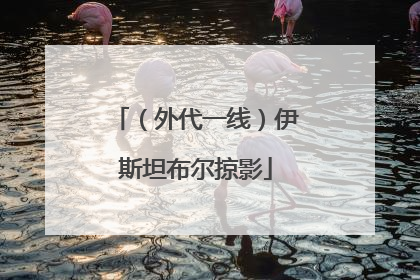 （外代一线）伊斯坦布尔掠影