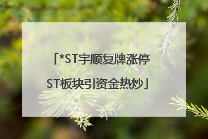*ST宇顺复牌涨停 ST板块引资金热炒