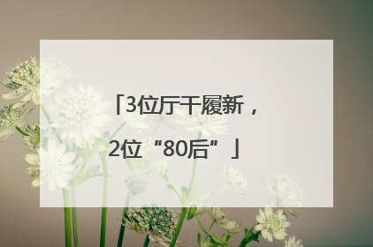 3位厅干履新，2位“80后”