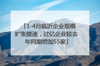 1-4月临沂企业规模扩张提速，过亿企业较去年同期增加55家