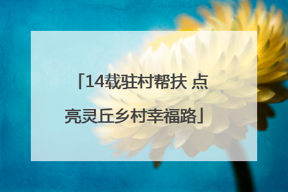 14载驻村帮扶 点亮灵丘乡村幸福路