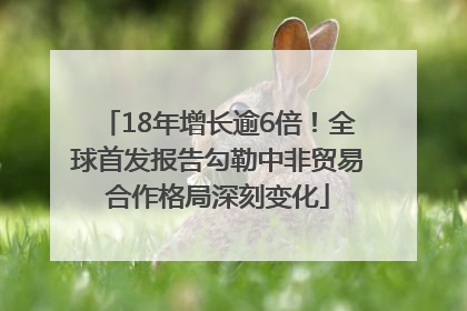 18年增长逾6倍！全球首发报告勾勒中非贸易合作格局深刻变化