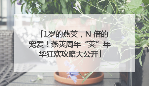 1岁的燕荚，N 倍的宠爱！燕荚周年“荚”年华狂欢攻略大公开