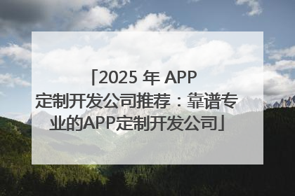 2025 年 APP 定制开发公司推荐：靠谱专业的APP定制开发公司